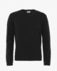 Jersey Lana Merino Reciclada Hombre Colorful Standard